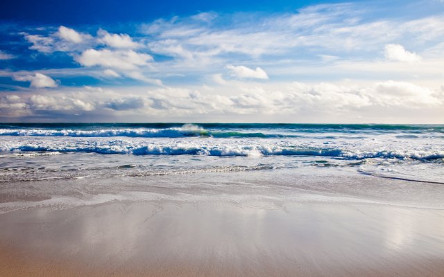 A sunny beach and waves